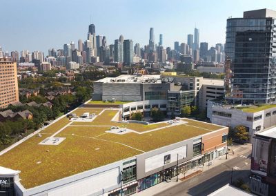 New City Green Roofing Project