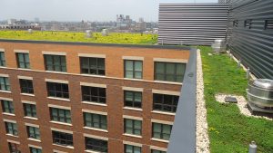 The Madison at Racine roofing project